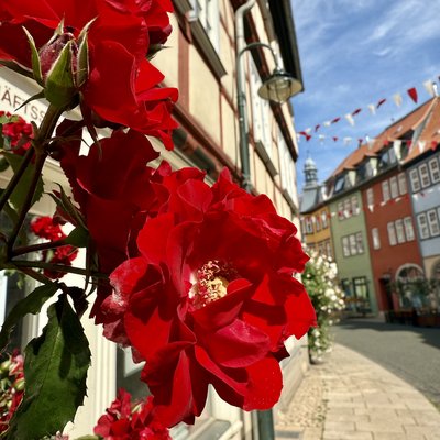 Marktstr. (Bad Langensalza)