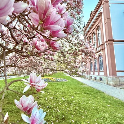 Kulturhistorisches Museum, Lindenbühl (Mühlhausen)