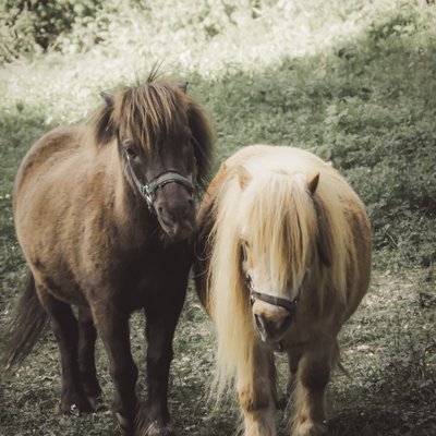 Köhlerstraße (Ruhla)