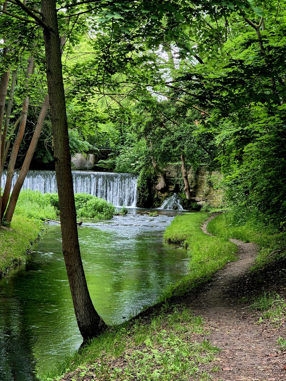 Seufzerallee (Bad Langensalza)