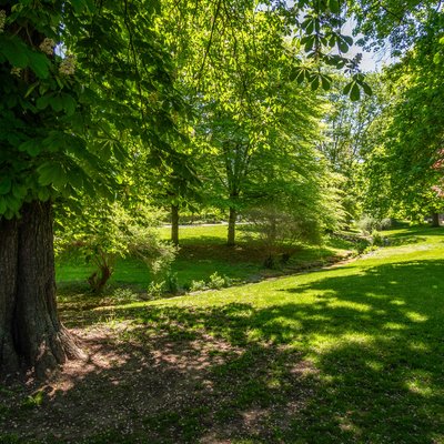 Kurpark (Bad Langensalza)
