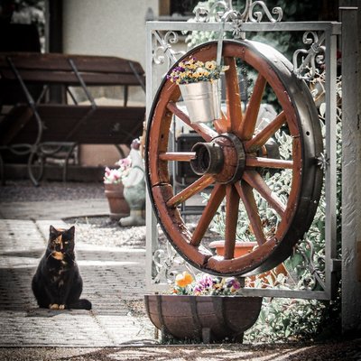 Köhlerstraße (Ruhla)