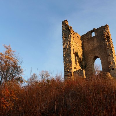 Ruine Donopskuppe (Meiningen)