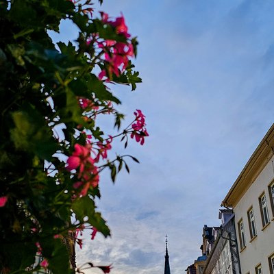 Steinweg, Marienkirche (Mühlhausen)